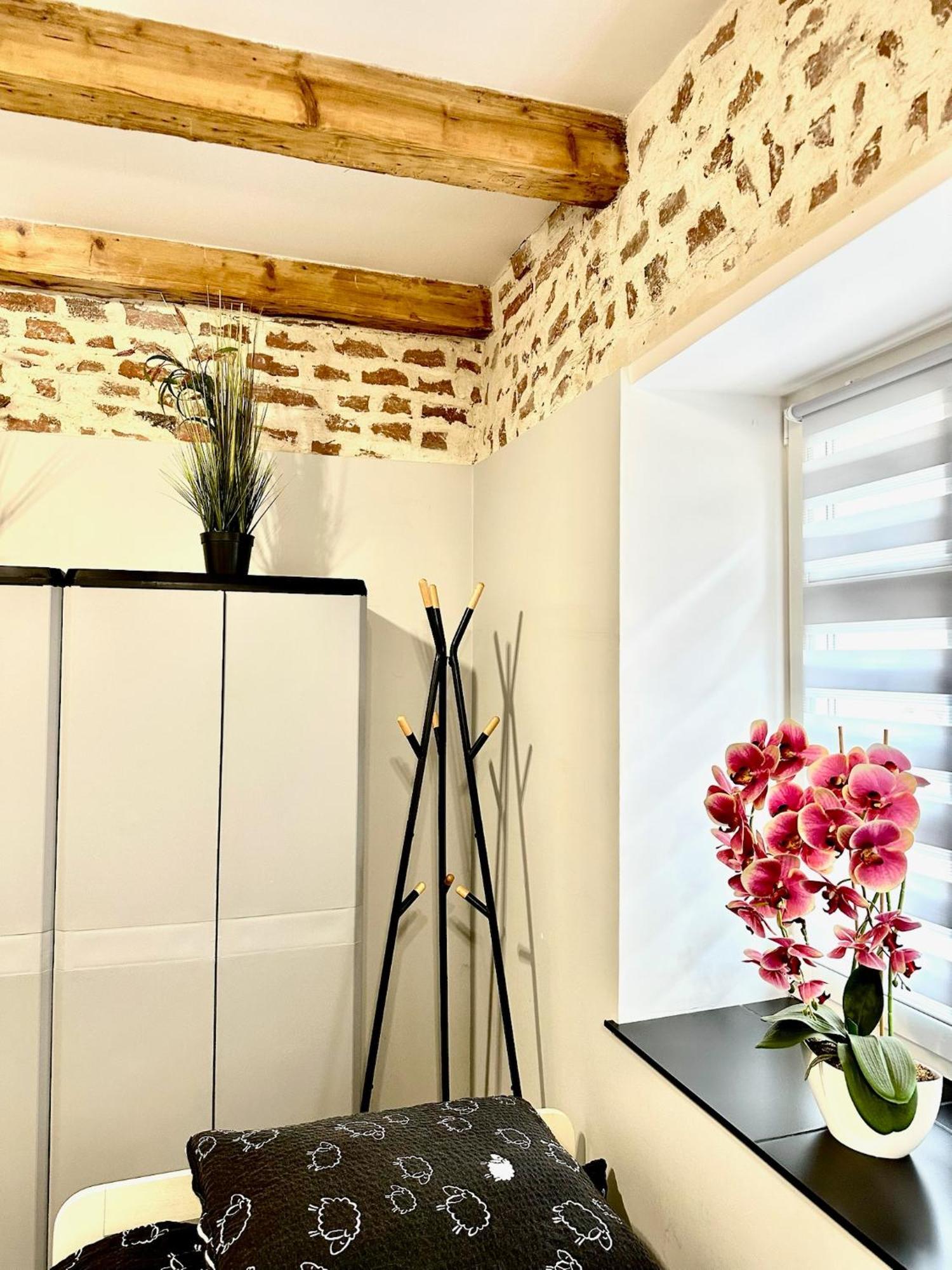 Marianowka Apartment Legnica Bagian luar foto